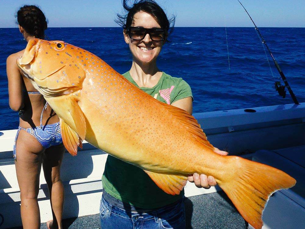 Half Day Reef Fishing with Absolute Ocean Charters